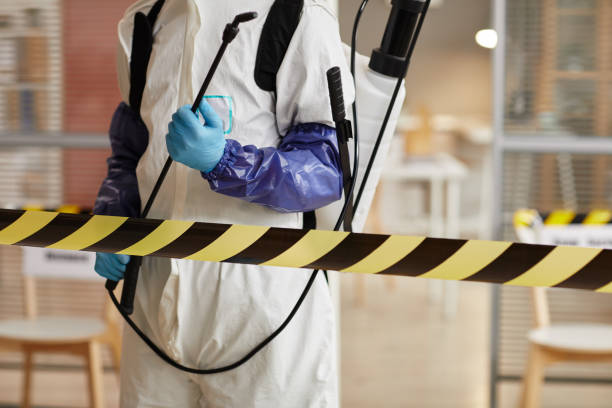 Professional Sewage Cleanup technician working in Weaverville, CA