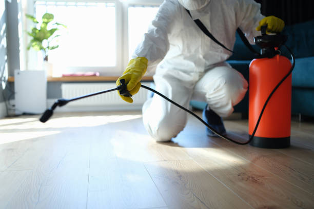 Reliable Sewage Cleanup contractor in Weaverville, CA by Dulley Family Biohazard Services